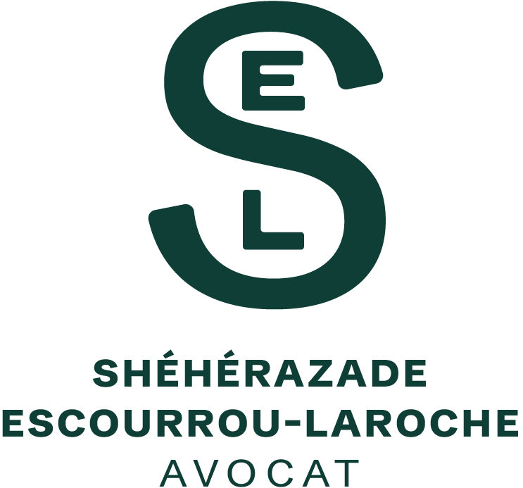 avocat-escourrou-laroche.fr